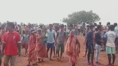 হাতির পাল থেকে বাঁচতে জমিতে বিদ্যুতের বেড়া, তড়িতাহত হয়ে মৃত্যু গবাদি পশুর