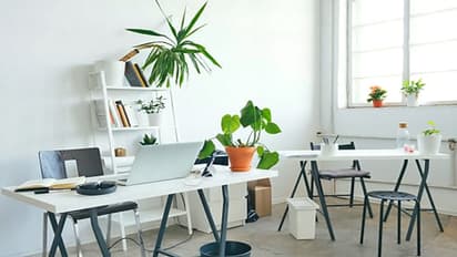 ಓದೋಕೆ ಬೋರು ಅನ್ನೋರು ಈ ವಾಸ್ತು ಟಿಪ್ಸ್‌ ಫಾಲೋ ಮಾಡ್ನೋಡಿ