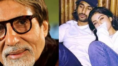 Does Meezaan Jaffrey want to marry Amitabh Bachchan's granddaughter Navya Naveli Nanda?