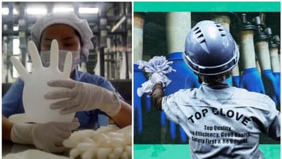 കൊവിഡ് കൊയ്ത്തുകാലമായിട്ടും തൊഴിലാളികൾക്ക് ദുരിതം മാത്രം സമ്മാനിക്കുന്ന ഹാൻഡ് ഗ്ലൗസ് കമ്പനികൾ