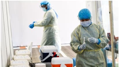 UAE Covid Report : യുഎഇയില്‍ 2,616 പേര്‍ക്ക് കൂടി കൊവിഡ്, നാലു മരണം