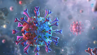 Coronavirus: India clocks 71,365 new COVID-19 cases, active caseload falls to 8.92 lakh