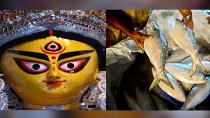 দুর্গাপুজোয় কলকাতাকে ইলিশ উপহার বাংলাদেশের, পুরোপুরি নিষেধাজ্ঞা তুলতে অনুরোধ