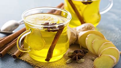 আদা চা ছেড়ে চুমুক 'গ্রিন টি'-তে, সুস্থ থাকতে কোনটা উপকারী, জানুন বিশেষজ্ঞের মতামত