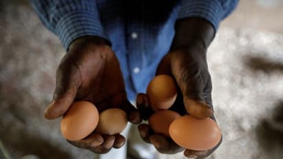 Business Ideas: ఎకరం వ్యవసాయ భూమి ఉందా..అయితే రోజుకు రూ.15 వేలు సంపాదించే బిజినెస్ ప్లాన్ మీకోసం..