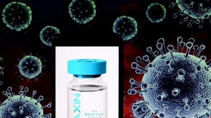 করোনাভাইরাসের টিকা কোভ্যাক্সিন পাওয়া যাবে আগামী বছর মাঝামাঝিতে , জানাল  ভারত বায়োটেক