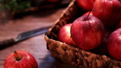 ಪ್ರತಿಯೊಬ್ಬ ಮಹಿಳೆಯೂ ಆಹಾರಕ್ರಮದಲ್ಲಿ ಸೇರಿಸಲೇಬೇಕಾದ 5 ಸೂಪರ್ ಫುಡ್ಸ್