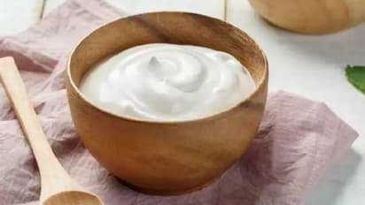 ছাঁচ ছাড়াই শুধুমাত্র কাঁচালঙ্কা দিয়ে ঘরে পেতে ফেলুন টক দই, জেনে নিন এর স্টেপ বাই স্টেপ পদ্ধতি