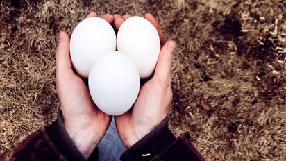 Egg whites to curd: Try out these foods to get rid of bloating