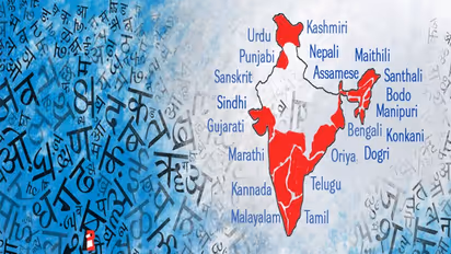 Hindi Diwas 2022: क्या आप जानते हैं राष्ट्रभाषा, राजभाषा और मातृभाषा अंतर, जानें क्या कहता है संविधान