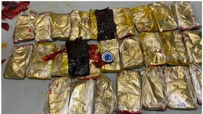 ഖത്തറില് പഴങ്ങളുമായെത്തിയ കണ്ടെയ്നറുകളില് ഹാഷിഷ് കടത്താന് ശ്രമം