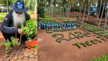 மரம் தங்கசாமி ஐயாவின் நினைவுநாளை ஒட்டி காவேரி கூக்குரல் சார்பில் தமிழகத்தில் 1.26 லட்சம் மரக்கன்று நட திட்டம்