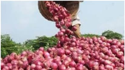 प्याज को लेकर आई बड़ी खबर, सबसे बड़ी मंडी में गिरी 1000 रुपये कीमत