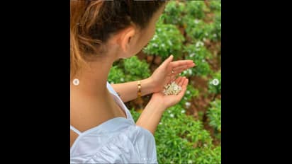 ರಜೆಯಲ್ಲಿ ಬಾಯ್‌ಫ್ರೆಂಡ್‌ ಜೊತೆ ನೇಚರ್ ಎಂಜಾಯ್ ಮಾಡ್ತಿದ್ದಾರೆ ನಯನಾತಾರ..!