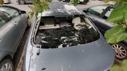 Remember these instances when a SIX smashed valuable furnitures