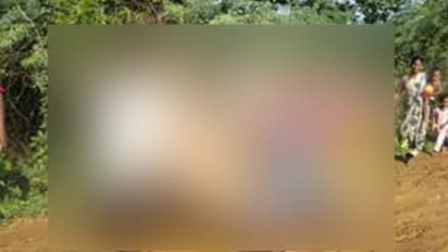 డోలీలో గర్భిణి.. అడవిలో ప్రసవం: రాయితో బొడ్డుతాడు కోత (వీడియో)