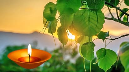 बचना चाहते हैं पितृ दोष के अशुभ प्रभाव से तो 17 सितंबर को करें इन 7 में से कोई 1 उपाय