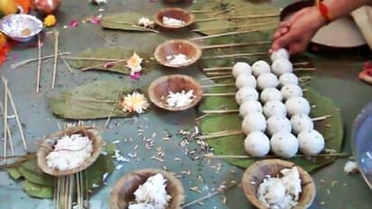 ಮನೆಯಲ್ಲಿ ಕೆಂಪಿರುವೆ ಹೆಚ್ಚಾದರೆ, ಪಿತೃ ದೋಷ ಕಾರಣವೇ?