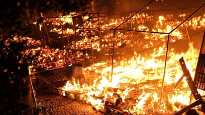 West Bengal: Mystery surrounds massive fire outbreak in Gangasar market; 10 shops burnt