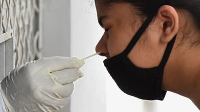 महाराष्ट्र में कोरोना का कहर जारी,  संक्रमण रोकने में फेल हुई उद्धव ठाकरे सरकार