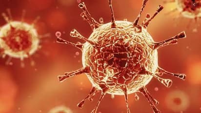 Coronavirus: India records over 54.87 lakh COVID-19 cases; recovery rate at 80.12%