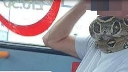 മാസ്‌കിന് പകരം പാമ്പിനെ ഉപയോഗിച്ച് വായും മൂക്കും മറച്ച് യുവാവ് ബസില്‍; ആദ്യം ഞെട്ടല്‍, പിന്നീട് തമാശ