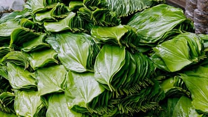 ভগবানের কৃপাদৃষ্টি পেতে চান, পুজোয় এই একটা জিনিস ব্যবহার করতে ভুলবেন না