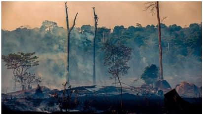 ബലാത്സംഗം ചെയ്യുമെന്നും കൊല്ലുമെന്നും ഭീഷണി, ഡ്രോണുപയോഗിച്ച് നിരീക്ഷണം; പരിസ്ഥിതി പ്രവര്ത്തകര് അപകടത്തില്?