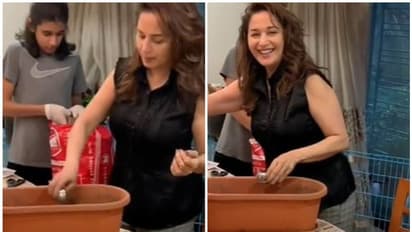 അടുക്കളത്തോട്ടം ഒരുക്കി മാധുരി ദീക്ഷിത്; വീഡിയോ കാണാം