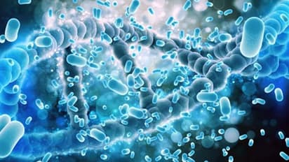 తెలంగాణలో కరోనా ఉధృతి: లక్షా 69 వేలు దాటిన పాజిటివ్ కేసులు