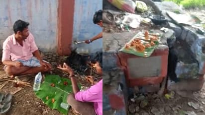 பாம்பை துண்டு துண்டாக வெட்டி சமைத்து சாப்பிட்ட இளைஞர்கள்... வைரலாகும் வீடியோவால் பரபரப்பு..!