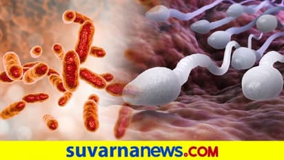 ಚೀನಾದಲ್ಲಿ ಹೊಸ ಬ್ಯಾಕ್ಟೀರಿಯಾ: ಸೋಂಕು ತಗುಲಿದರೆ ಪುರುಷತ್ವವೇ ಹೋಗುತ್ತೆ