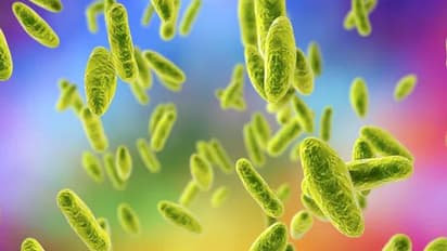 చైనాలో మరో కొత్త వ్యాధి: ఇది సోకితే సంతానానికి పనికిరారట