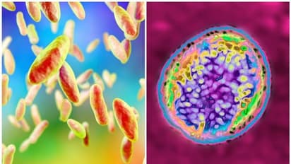 കൊവിഡിന് പിന്നാലെ പ്രത്യുല്പാദന ശേഷി നശിപ്പിക്കുന്ന ഗുരുതര ബാക്ടീരിയ ചൈനയില് പടരുന്നു