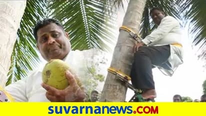 ಪತ್ರಿಕಾಗೋಷ್ಠಿ ಮಾಡೋಕೆ ತೆಂಗಿನ ಮರ ಹತ್ತಿದ ಸಚಿವ..!