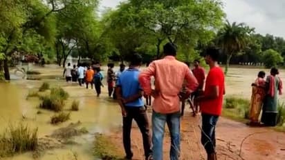 নিম্নচাপের জেরে ভারী বৃষ্টি, ডিভিসি-এর ছাড়া জলে এবার ভেসে গেল বর্ধমানের আউশগ্রাম