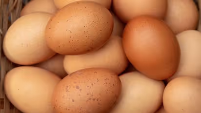 How to check out stale eggs? Follow these 4 easy steps