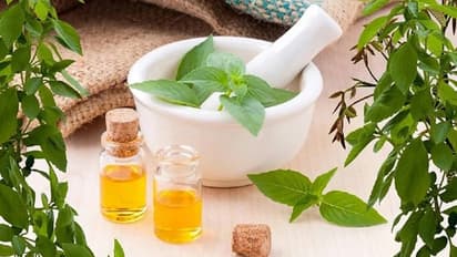 Dehydration: Herbal remedies that can help you stay hydrated