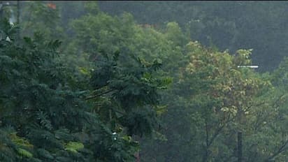 മലയോര മേഖലയിൽ പലയിടത്തും കനത്തമഴ; എരുമേലിയിലും കുരുമ്പൻമൂഴി കാട്ടിലും ഉരുൾപൊട്ടി, മുടപ്പല്ലൂരിൽ വെള്ളക്കെട്ട്