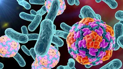 ಶೀತ-ಜ್ವರ ಬಂದು ಕಮ್ಮಿ ಆದವರಿಗೆ ಕೊರೋನಾ ಸೋಂಕಿಂದ ರಕ್ಷಣೆ: ಅಚ್ಚರಿಯ ವರದಿ!