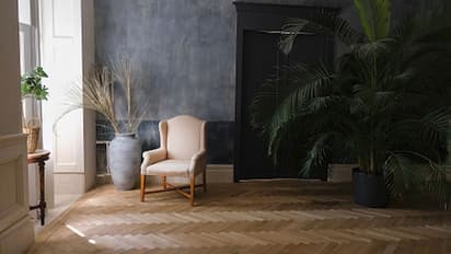 নবরাত্রিতে ঘরের নেগেটিভ শক্তি দূর করতে, কাজে লাগান এই একটি উপায়