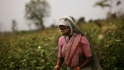 किसानों की किस्मत बदल रही है किसान ट्रेन, उपभोक्ताओं और किसान हुए खुश