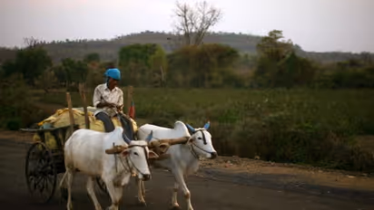 Opposition urges President Kovind not to give assent to farm bills