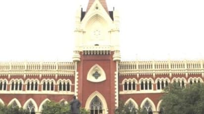 PILs filed in Calcutta High Court seeks no entry to pandals, ban on fireworks during Kali puja