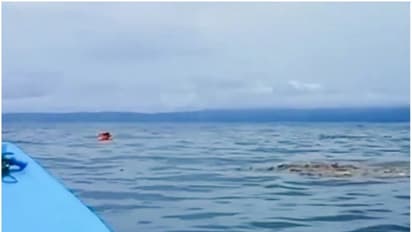 ഐസ് പെട്ടിയില്‍ അള്ളിപ്പിടിച്ച് മൂന്നു ദിവസം കടലില്‍; മത്സ്യ തൊഴിലാളിയുടെ രണ്ടാം ജന്മം.!