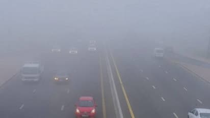 യുഎഇയില് കനത്ത മൂടല്മഞ്ഞ്; വിവിധ പ്രദേശങ്ങളില് റെഡ്, യെല്ലോ അലെര്ട്ടുകള് പ്രഖ്യാപിച്ചു