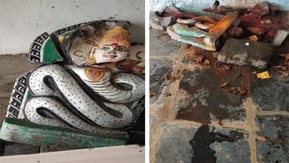 మరో హిందూ దేవాలయంపై దాడి... దేవతా విగ్రహాలు ధ్వంసం