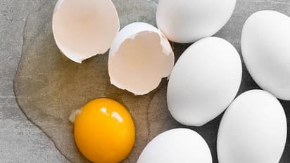 കുട്ടികൾക്ക് മുട്ട നൽകണമെന്ന് പറയുന്നതിന്റെ കാരണം ഇതാണ്