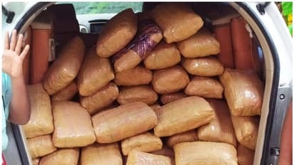 തലസ്ഥാനത്ത് വീണ്ടും കഞ്ചാവ് വേട്ട; മൂന്ന് തിരുവനന്തപുരം സ്വദേശികള്‍ അറസ്റ്റിൽ