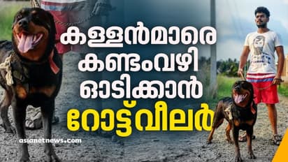 അപകടകാരിയാണോ ഇവന്‍, അതോ എളുപ്പത്തിലിണങ്ങുമോ? ഏതായാലും അതുലിന് ഏറെ പ്രിയം റോട്ട് വീലര്‍ തന്നെ...